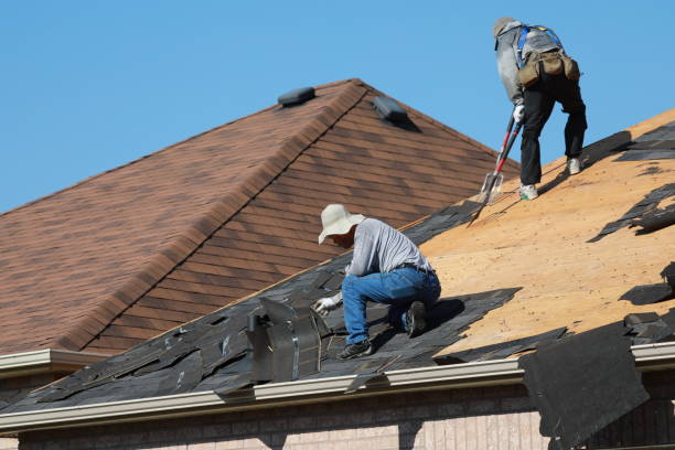 Best Asphalt Shingle Roofing  in Colona, IL