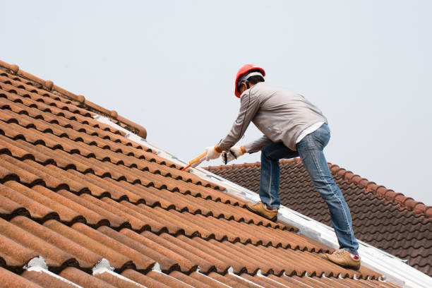 Best Green or Eco-Friendly Roofing Solutions  in Colona, IL